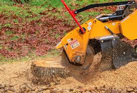 Best Pest Control for Lawns  in Lutherville, MD